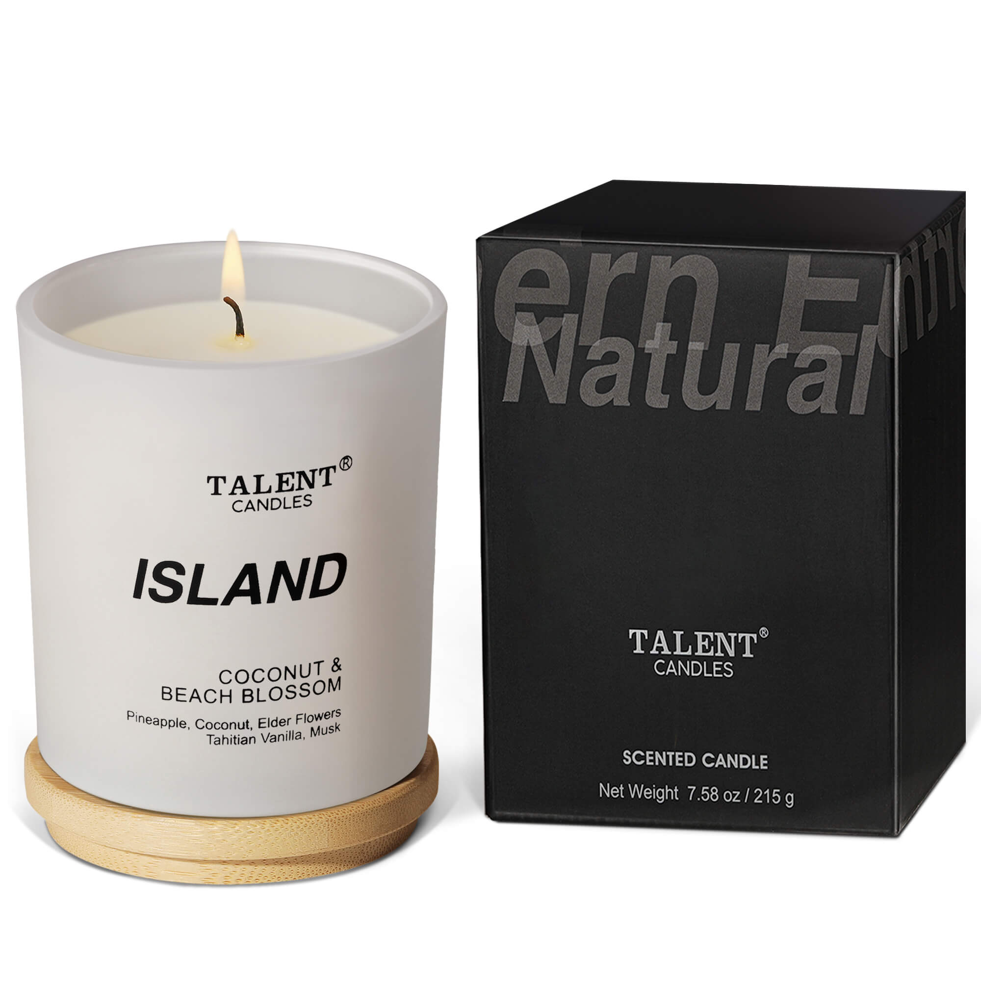 Picture of COCONUT & BEACH BLOSSOM | TALENT CANDLES Collection of Natural Scented Candles, Aromatherapy Candles with Lid, Medium Jar