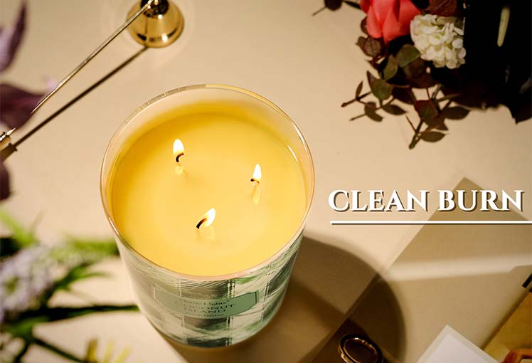 HomeLights Scented Candles, Ideal for Eclectic Mixed Styles Home Decor and Gifts